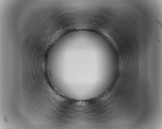 X0000101410261200807071013