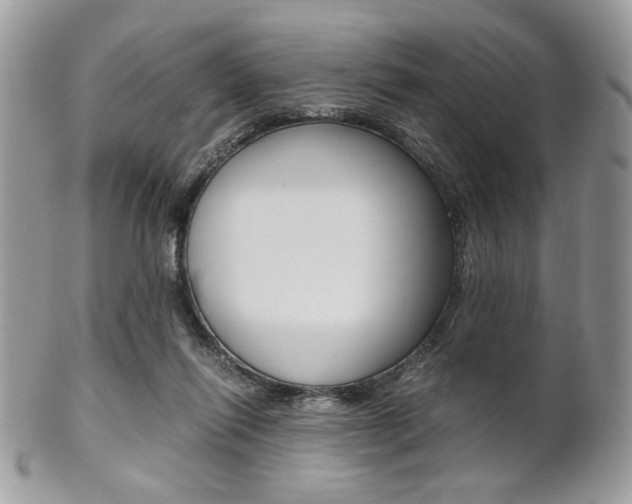 X0000101410262200807071013