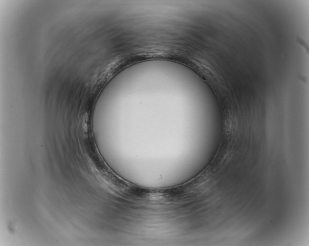 X0000101410264200807071013