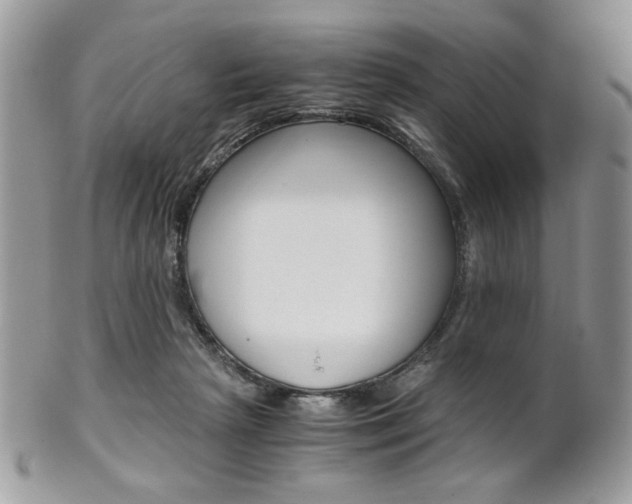 X0000101410265200807071013