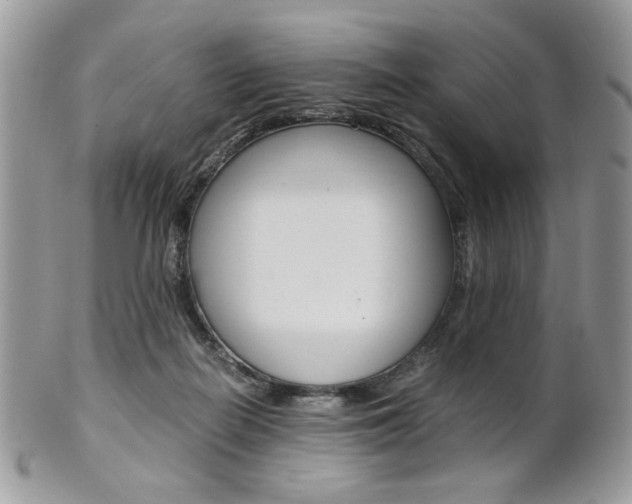 X0000101410266200807071013