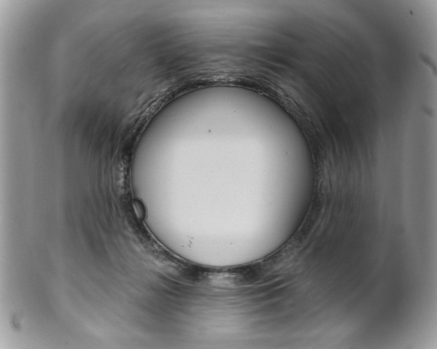 X0000101410268200807071013