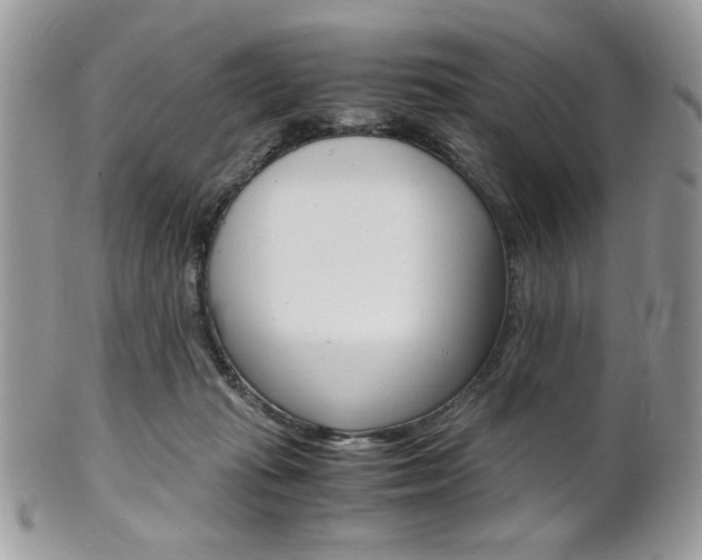 X0000101410269200807071013