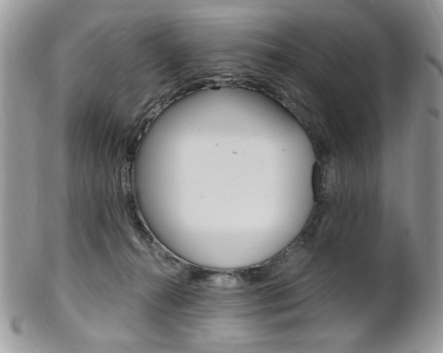 X0000101410272200807071013