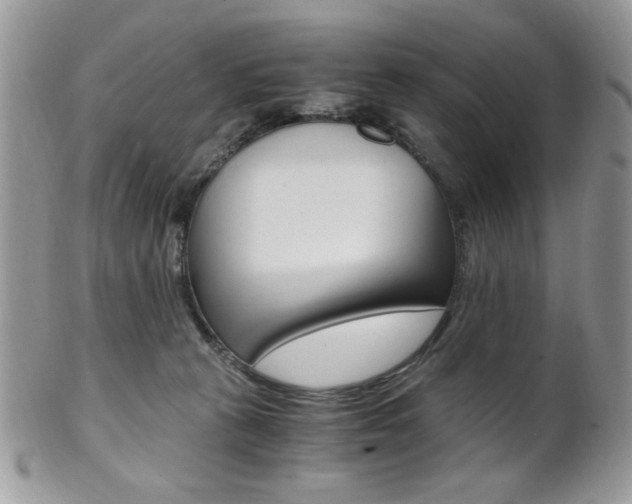 X0000101410273200807071013