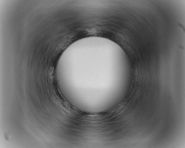 X0000101410275200807071013