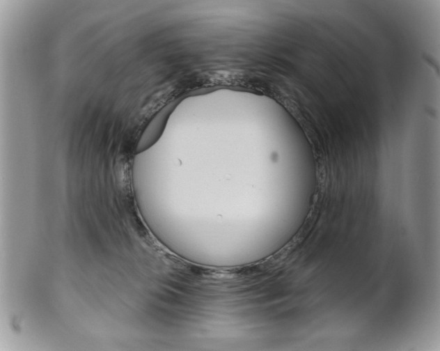 X0000101410276200807071013