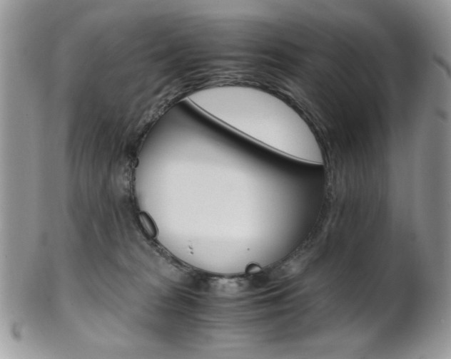 X0000101410277200807071013