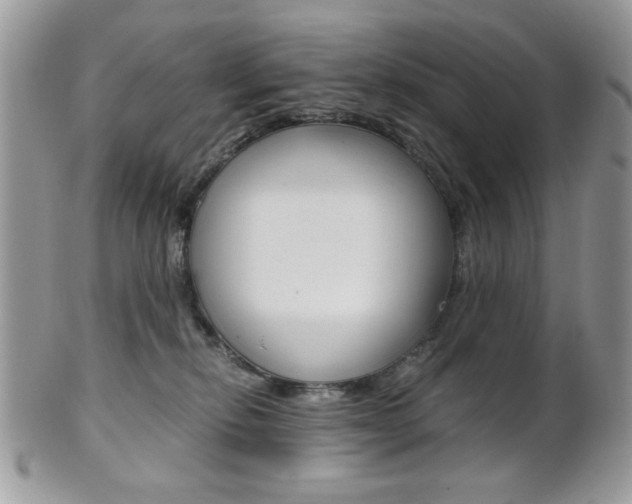 X0000101410278200807071013