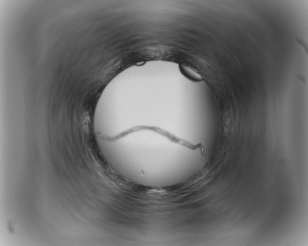 X0000101410279200807071013