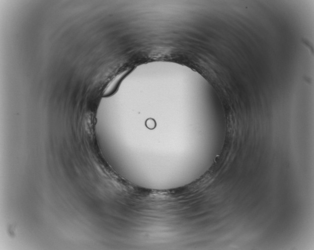 X0000101410280200807071013