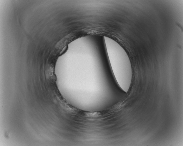 X0000101410281200807071014