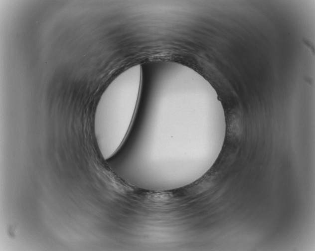 X0000101410282200807071014