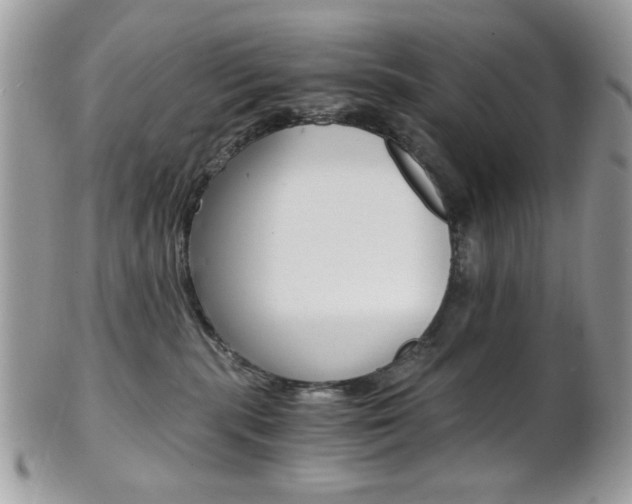 X0000101410283200807071014