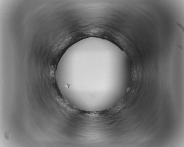 X0000101410284200807071014