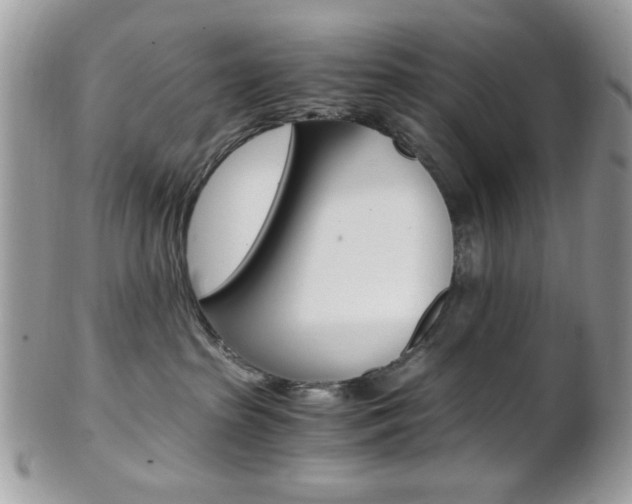 X0000101410285200807071014
