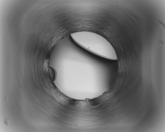 X0000101410286200807071014