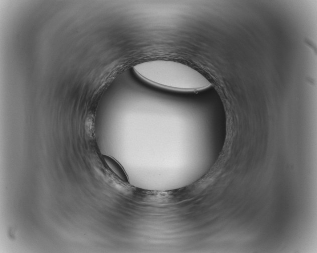 X0000101410288200807071014