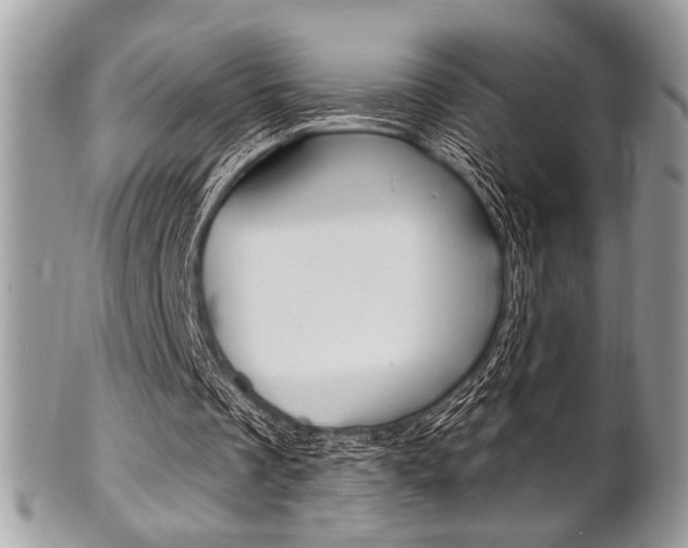 X0000101410289200807071013