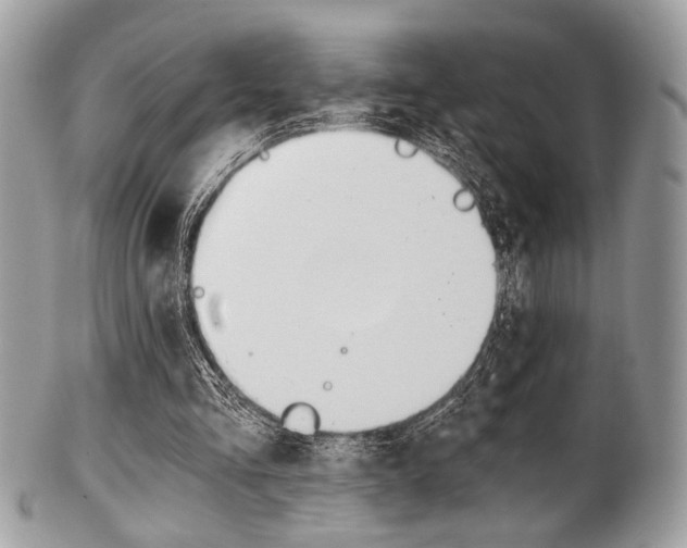 X0000101410293200807071013