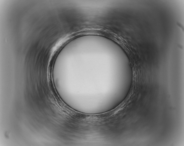 X0000101410294200807071013
