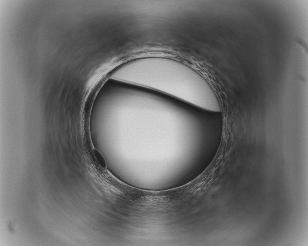 X0000101410296200807071013