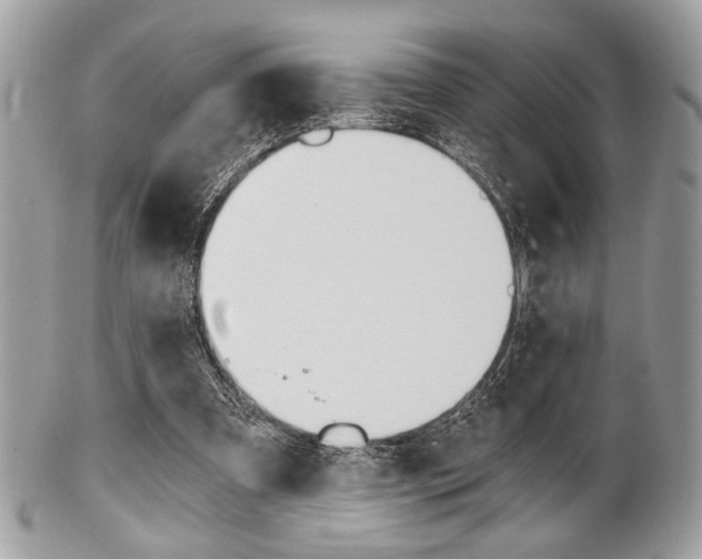 X0000101410297200807071013
