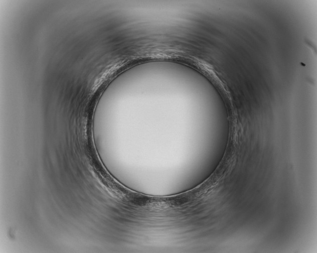 X0000101410299200807071013