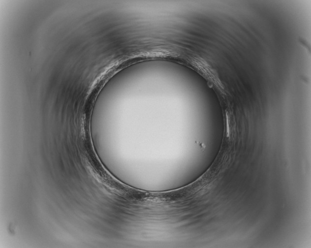 X0000101410300200807071013