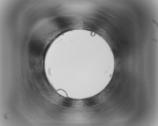X0000101410301200807071013