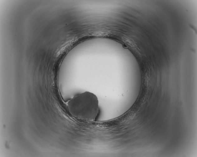 X0000101410303200807071013