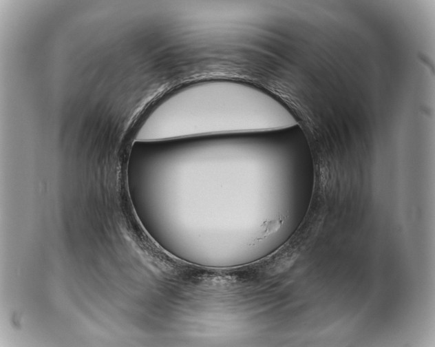 X0000101410304200807071013