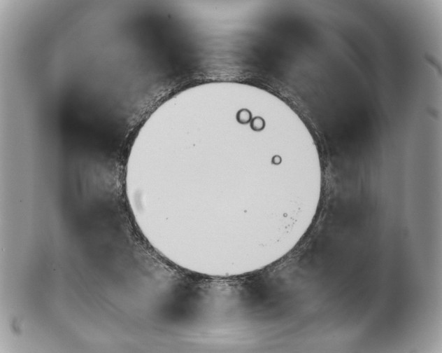 X0000101410305200807071013