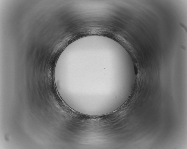 X0000101410306200807071013