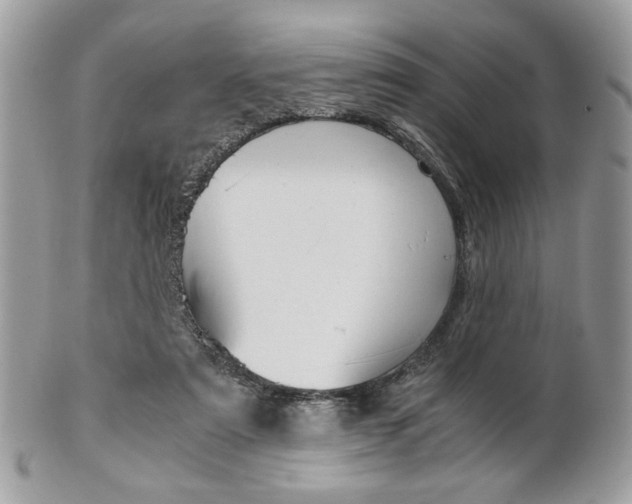 X0000101410307200807071013