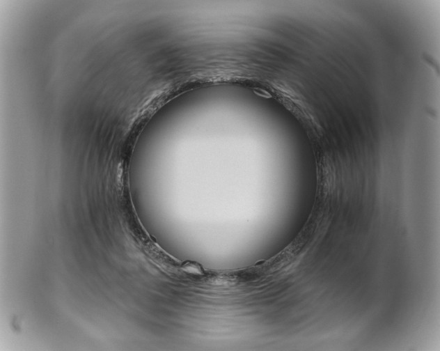X0000101410308200807071013