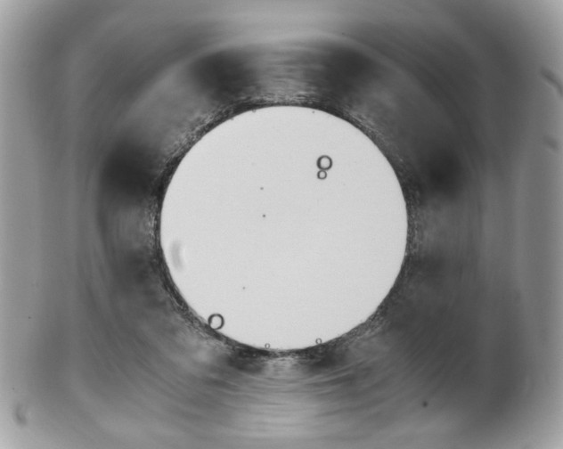 X0000101410309200807071013