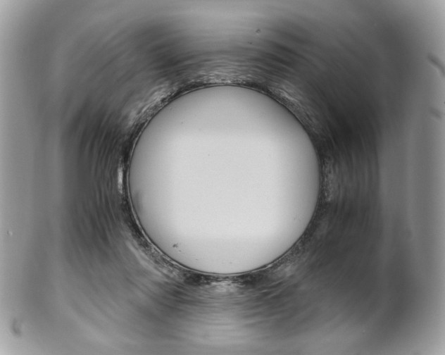 X0000101410310200807071013
