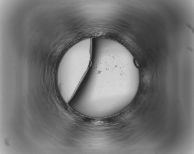 X0000101410315200807071013