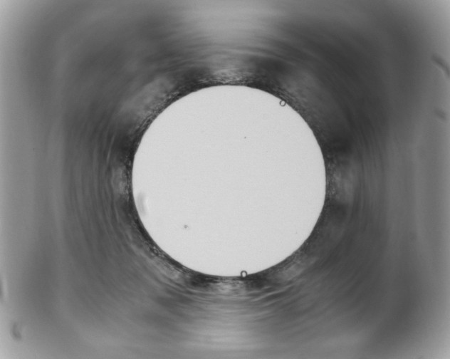 X0000101410317200807071012
