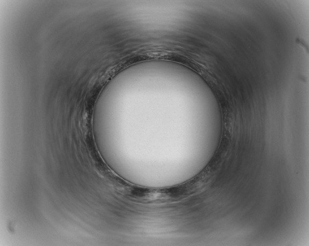 X0000101410319200807071012