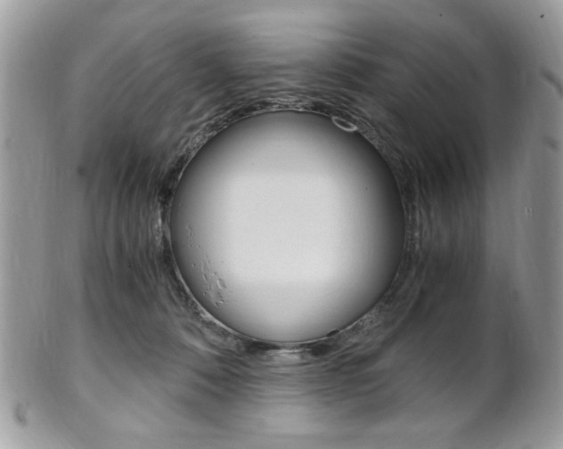 X0000101410320200807071012