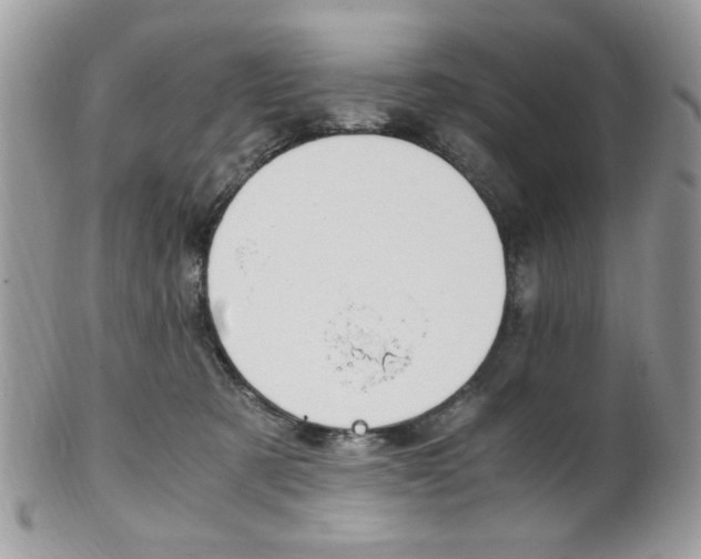 X0000101410321200807071012
