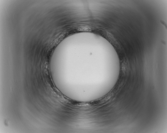 X0000101410322200807071012