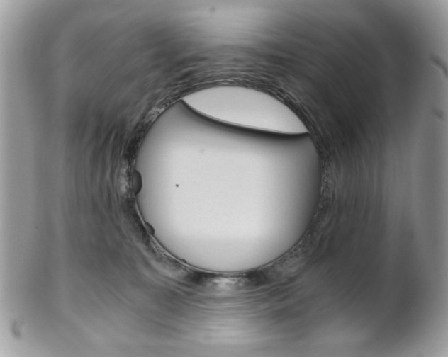 X0000101410323200807071012