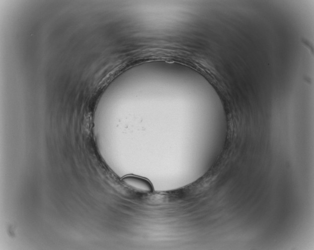 X0000101410325200807071012