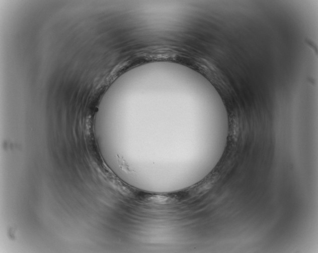X0000101410326200807071012