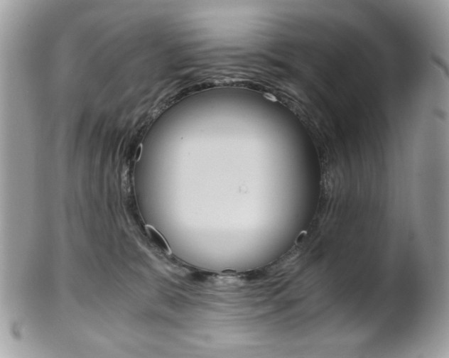 X0000101410327200807071012