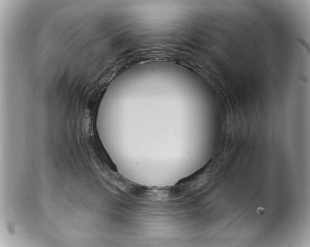 X0000101410328200807071012