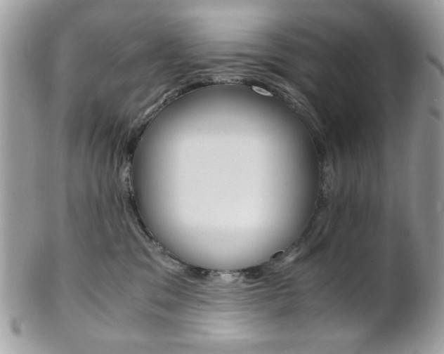 X0000101410329200807071012
